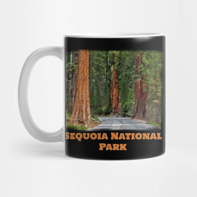 Sequoia National Park - Kings Canyon California Redwood trees by jdunster